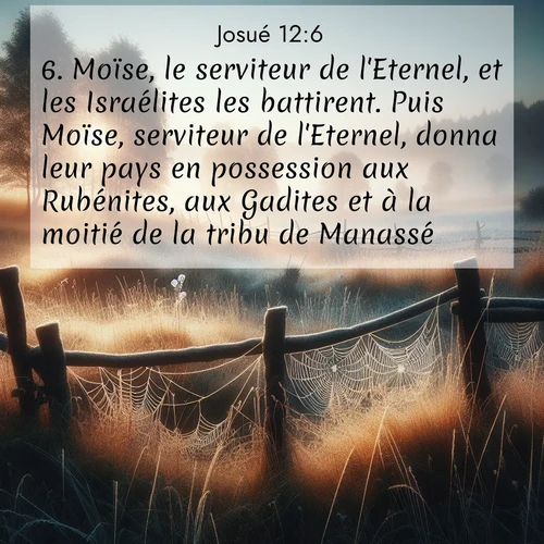 Segond21 Josué  ; image nature: image avec le verset biblique :Moïse, le serviteur de l&#039;Eternel, et les Israélites les battirent. Puis Moïse, serviteur de l&#039;Eternel, donna leur pays en possession aux Rubénites, aux Gadites et à la moitié de la tribu de Manassé. ;  ; 12:6