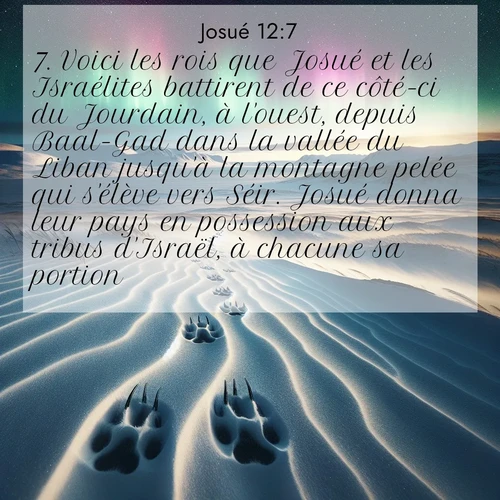 Segond21 Josué  ; image nature: image avec le verset biblique :Voici les rois que Josué et les Israélites battirent de ce côté-ci du Jourdain, à l&#039;ouest, depuis Baal-Gad dans la vallée du Liban jusqu&#039;à la montagne pelée qui s&#039;élève vers Séir. Josué donna leur pays en possession aux tribus d&#039;Israël, à chacune sa portion, ;  ; 12:7