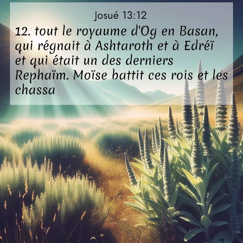 Segond21 Josué  ; image nature: image avec le verset biblique :tout le royaume d&#039;Og en Basan, qui régnait à Ashtaroth et à Edréï et qui était un des derniers Rephaïm. Moïse battit ces rois et les chassa, ;  ; 13:12