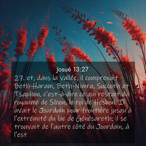 Segond21 Josué  ; image nature: image avec le verset biblique :et, dans la vallée, il comprenait Beth-Haram, Beth-Nimra, Succoth et Tsaphon, c&#039;est-à-dire ce qui restait du royaume de Sihon, le roi de Hesbon. Il avait le Jourdain pour frontière jusqu&#039;à l&#039;extrémité du lac de Génésareth; il se trouvait de l&#039;autre côté du Jourdain, à l&#039;est. ;  ; 13:27
