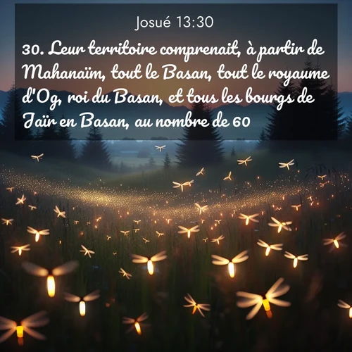 Segond21 Josué  ; image nature: image avec le verset biblique :Leur territoire comprenait, à partir de Mahanaïm, tout le Basan, tout le royaume d&#039;Og, roi du Basan, et tous les bourgs de Jaïr en Basan, au nombre de 60. ;  ; 13:30