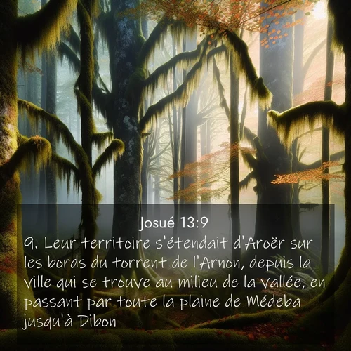 Segond21 Josué  ; image nature: image avec le verset biblique :Leur territoire s&#039;étendait d&#039;Aroër sur les bords du torrent de l&#039;Arnon, depuis la ville qui se trouve au milieu de la vallée, en passant par toute la plaine de Médeba jusqu&#039;à Dibon ;  ; 13:9