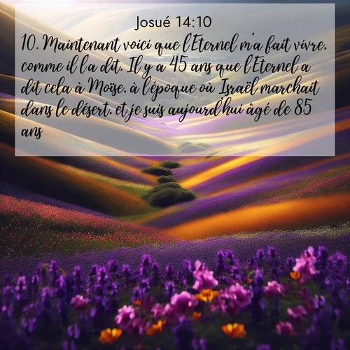 Segond21 Josué  ; image nature: image avec le verset biblique :Maintenant voici que l&#039;Eternel m&#039;a fait vivre, comme il l&#039;a dit. Il y a 45 ans que l&#039;Eternel a dit cela à Moïse, à l&#039;époque où Israël marchait dans le désert, et je suis aujourd&#039;hui âgé de 85 ans. ;  ; 14:10