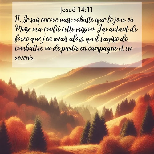 Segond21 Josué  ; image nature: image avec le verset biblique :Je suis encore aussi robuste que le jour où Moïse m&#039;a confié cette mission. J&#039;ai autant de force que j&#039;en avais alors, qu&#039;il s&#039;agisse de combattre ou de partir en campagne et en revenir. ;  ; 14:11