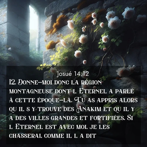 Segond21 Josué  ; image nature: image avec le verset biblique :Donne-moi donc la région montagneuse dont l&#039;Eternel a parlé à cette époque-là. Tu as appris alors qu&#039;il s&#039;y trouve des Anakim et qu&#039;il y a des villes grandes et fortifiées. Si l&#039;Eternel est avec moi, je les chasserai, comme il l&#039;a dit.» ;  ; 14:12