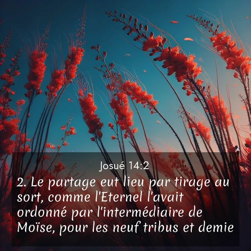 Segond21 Josué  ; image nature: image avec le verset biblique :Le partage eut lieu par tirage au sort, comme l&#039;Eternel l&#039;avait ordonné par l&#039;intermédiaire de Moïse, pour les neuf tribus et demie. ;  ; 14:2