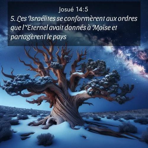 Segond21 Josué  ; image nature: image avec le verset biblique :Les Israélites se conformèrent aux ordres que l&#039;Eternel avait donnés à Moïse et partagèrent le pays. ;  ; 14:5