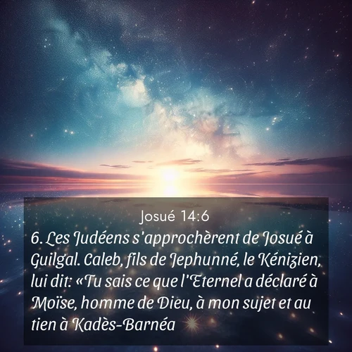 Segond21 Josué  ; image nature: image avec le verset biblique :Les Judéens s&#039;approchèrent de Josué à Guilgal. Caleb, fils de Jephunné, le Kénizien, lui dit: «Tu sais ce que l&#039;Eternel a déclaré à Moïse, homme de Dieu, à mon sujet et au tien à Kadès-Barnéa. ;  ; 14:6