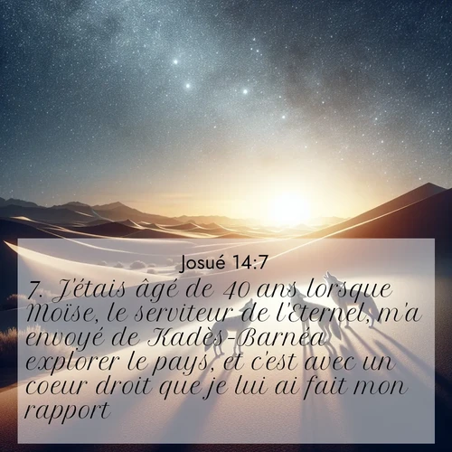 Segond21 Josué  ; image nature: image avec le verset biblique :J&#039;étais âgé de 40 ans lorsque Moïse, le serviteur de l&#039;Eternel, m&#039;a envoyé de Kadès-Barnéa explorer le pays, et c&#039;est avec un coeur droit que je lui ai fait mon rapport. ;  ; 14:7