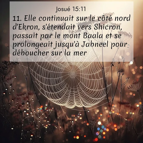 Segond21 Josué  ; image nature: image avec le verset biblique :Elle continuait sur le côté nord d&#039;Ekron, s&#039;étendait vers Shicron, passait par le mont Baala et se prolongeait jusqu&#039;à Jabneel pour déboucher sur la mer. ;  ; 15:11