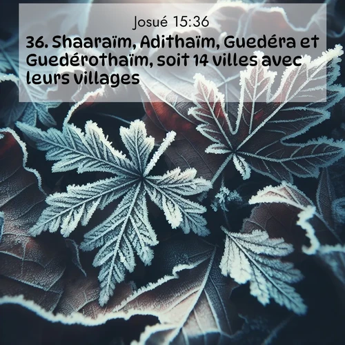 Segond21 Josué  ; image nature: image avec le verset biblique :Shaaraïm, Adithaïm, Guedéra et Guedérothaïm, soit 14 villes avec leurs villages. ;  ; 15:36
