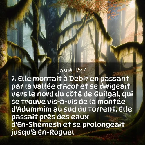 Segond21 Josué  ; image nature: image avec le verset biblique :Elle montait à Debir en passant par la vallée d&#039;Acor et se dirigeait vers le nord du côté de Guilgal, qui se trouve vis-à-vis de la montée d&#039;Adummim au sud du torrent. Elle passait près des eaux d&#039;En-Shémesh et se prolongeait jusqu&#039;à En-Roguel. ;  ; 15:7
