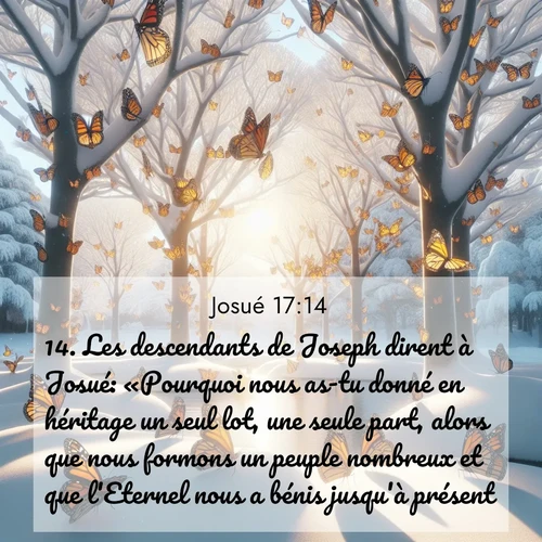 Segond21 Josué  ; image nature: image avec le verset biblique :Les descendants de Joseph dirent à Josué: «Pourquoi nous as-tu donné en héritage un seul lot, une seule part, alors que nous formons un peuple nombreux et que l&#039;Eternel nous a bénis jusqu&#039;à présent?» ;  ; 17:14