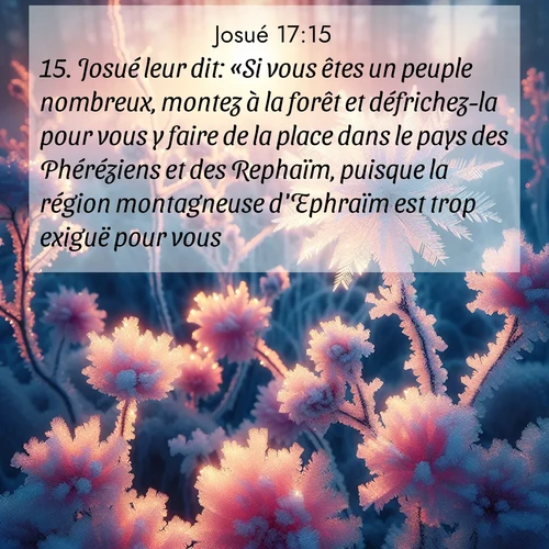 Segond21 Josué  ; image nature: image avec le verset biblique :Josué leur dit: «Si vous êtes un peuple nombreux, montez à la forêt et défrichez-la pour vous y faire de la place dans le pays des Phéréziens et des Rephaïm, puisque la région montagneuse d&#039;Ephraïm est trop exiguë pour vous.» ;  ; 17:15