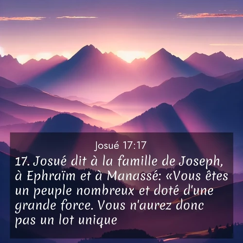 Segond21 Josué  ; image nature: image avec le verset biblique :Josué dit à la famille de Joseph, à Ephraïm et à Manassé: «Vous êtes un peuple nombreux et doté d&#039;une grande force. Vous n&#039;aurez donc pas un lot unique. ;  ; 17:17