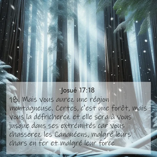 Segond21 Josué  ; image nature: image avec le verset biblique :Mais vous aurez une région montagneuse. Certes, c&#039;est une forêt, mais vous la défricherez et elle sera à vous jusque dans ses extrémités car vous chasserez les Cananéens, malgré leurs chars en fer et malgré leur force.» ;  ; 17:18