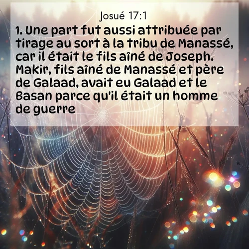 Segond21 Josué  ; image nature: image avec le verset biblique :Une part fut aussi attribuée par tirage au sort à la tribu de Manassé, car il était le fils aîné de Joseph. Makir, fils aîné de Manassé et père de Galaad, avait eu Galaad et le Basan parce qu&#039;il était un homme de guerre. ;  ; 17:1