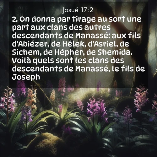 Segond21 Josué  ; image nature: image avec le verset biblique :On donna par tirage au sort une part aux clans des autres descendants de Manassé: aux fils d&#039;Abiézer, de Hélek, d&#039;Asriel, de Sichem, de Hépher, de Shemida. Voilà quels sont les clans des descendants de Manassé, le fils de Joseph. ;  ; 17:2