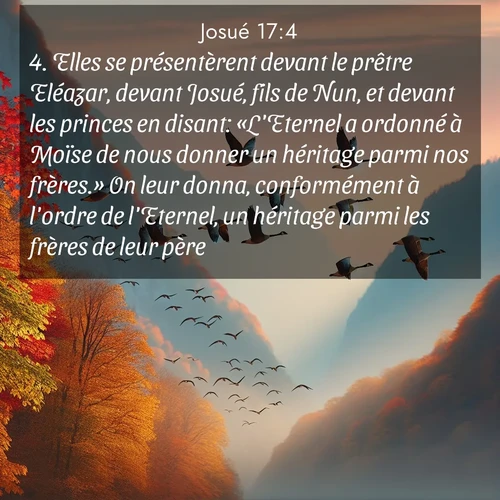 Segond21 Josué  ; image nature: image avec le verset biblique :Elles se présentèrent devant le prêtre Eléazar, devant Josué, fils de Nun, et devant les princes en disant: «L&#039;Eternel a ordonné à Moïse de nous donner un héritage parmi nos frères.» On leur donna, conformément à l&#039;ordre de l&#039;Eternel, un héritage parmi les frères de leur père. ;  ; 17:4