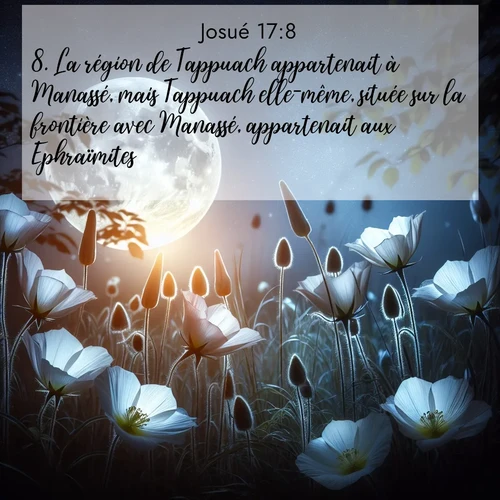 Segond21 Josué  ; image nature: image avec le verset biblique :La région de Tappuach appartenait à Manassé, mais Tappuach elle-même, située sur la frontière avec Manassé, appartenait aux Ephraïmites. ;  ; 17:8