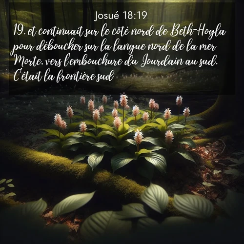 image nature avec verset biblique de la Bible