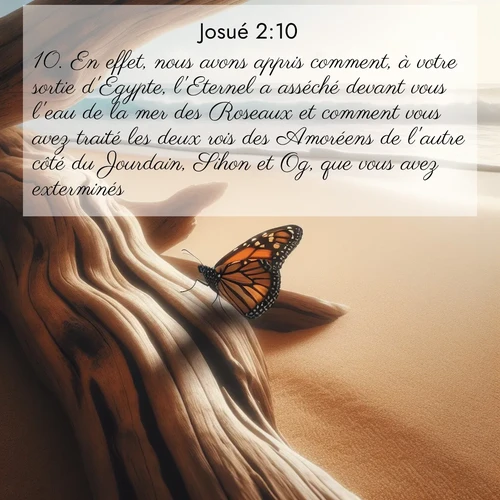 Segond21 Josué  ; image nature: image avec le verset biblique :En effet, nous avons appris comment, à votre sortie d&#039;Egypte, l&#039;Eternel a asséché devant vous l&#039;eau de la mer des Roseaux et comment vous avez traité les deux rois des Amoréens de l&#039;autre côté du Jourdain, Sihon et Og, que vous avez exterminés. ;  ; 2:10