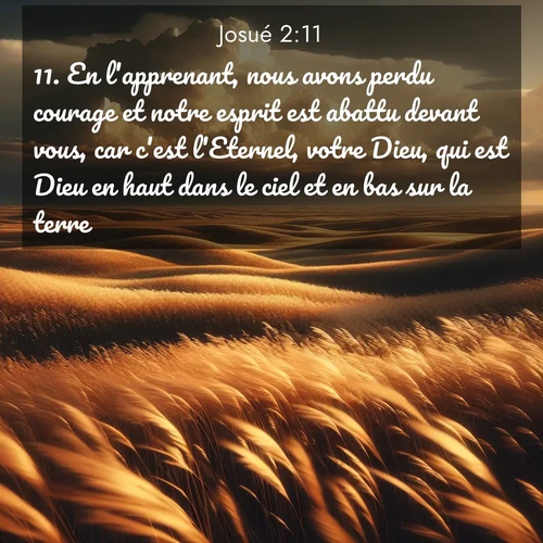 Segond21 Josué  ; image nature: image avec le verset biblique :En l&#039;apprenant, nous avons perdu courage et notre esprit est abattu devant vous, car c&#039;est l&#039;Eternel, votre Dieu, qui est Dieu en haut dans le ciel et en bas sur la terre. ;  ; 2:11
