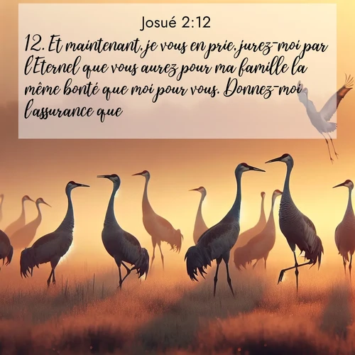 Segond21 Josué  ; image nature: image avec le verset biblique :Et maintenant, je vous en prie, jurez-moi par l&#039;Eternel que vous aurez pour ma famille la même bonté que moi pour vous. Donnez-moi l&#039;assurance que ;  ; 2:12