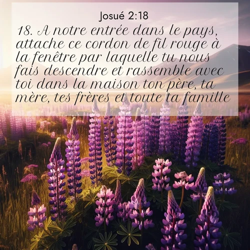 Segond21 Josué  ; image nature: image avec le verset biblique :A notre entrée dans le pays, attache ce cordon de fil rouge à la fenêtre par laquelle tu nous fais descendre et rassemble avec toi dans la maison ton père, ta mère, tes frères et toute ta famille. ;  ; 2:18
