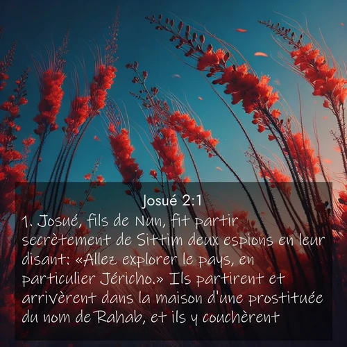 Segond21 Josué  ; image nature: image avec le verset biblique :Josué, fils de Nun, fit partir secrètement de Sittim deux espions en leur disant: «Allez explorer le pays, en particulier Jéricho.» Ils partirent et arrivèrent dans la maison d&#039;une prostituée du nom de Rahab, et ils y couchèrent. ;  ; 2:1