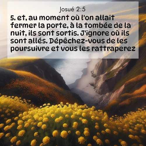 Segond21 Josué  ; image nature: image avec le verset biblique :et, au moment où l&#039;on allait fermer la porte, à la tombée de la nuit, ils sont sortis. J&#039;ignore où ils sont allés. Dépêchez-vous de les poursuivre et vous les rattraperez.» ;  ; 2:5