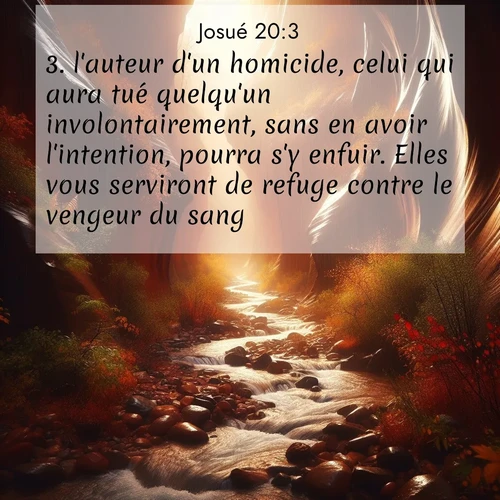 Segond21 Josué  ; image nature: image avec le verset biblique :l&#039;auteur d&#039;un homicide, celui qui aura tué quelqu&#039;un involontairement, sans en avoir l&#039;intention, pourra s&#039;y enfuir. Elles vous serviront de refuge contre le vengeur du sang. ;  ; 20:3