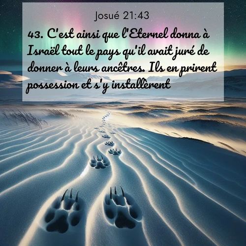 Segond21 Josué  ; image nature: image avec le verset biblique :C&#039;est ainsi que l&#039;Eternel donna à Israël tout le pays qu&#039;il avait juré de donner à leurs ancêtres. Ils en prirent possession et s&#039;y installèrent. ;  ; 21:43