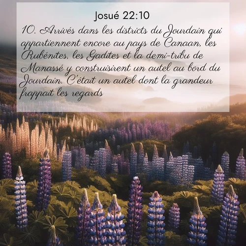 Segond21 Josué  ; image nature: image avec le verset biblique :Arrivés dans les districts du Jourdain qui appartiennent encore au pays de Canaan, les Rubénites, les Gadites et la demi-tribu de Manassé y construisirent un autel au bord du Jourdain. C&#039;était un autel dont la grandeur frappait les regards. ;  ; 22:10