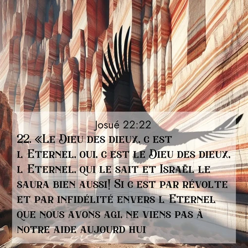 Segond21 Josué  ; image nature: image avec le verset biblique :«Le Dieu des dieux, c&#039;est l&#039;Eternel, oui, c&#039;est le Dieu des dieux, l&#039;Eternel, qui le sait et Israël le saura bien aussi! Si c&#039;est par révolte et par infidélité envers l&#039;Eternel que nous avons agi, ne viens pas à notre aide aujourd&#039;hui! ;  ; 22:22