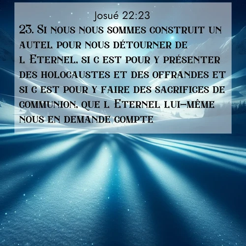 Segond21 Josué  ; image nature: image avec le verset biblique :Si nous nous sommes construit un autel pour nous détourner de l&#039;Eternel, si c&#039;est pour y présenter des holocaustes et des offrandes et si c&#039;est pour y faire des sacrifices de communion, que l&#039;Eternel lui-même nous en demande compte! ;  ; 22:23