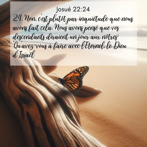 Segond21 Josué  ; image nature: image avec le verset biblique :Non, c&#039;est plutôt par inquiétude que nous avons fait cela. Nous avons pensé que vos descendants diraient un jour aux nôtres: &#039;Qu&#039;avez-vous à faire avec l&#039;Eternel, le Dieu d&#039;Israël? ;  ; 22:24
