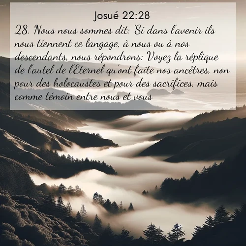 Segond21 Josué  ; image nature: image avec le verset biblique :Nous nous sommes dit: &#039;Si dans l&#039;avenir ils nous tiennent ce langage, à nous ou à nos descendants, nous répondrons: Voyez la réplique de l&#039;autel de l&#039;Eternel qu&#039;ont faite nos ancêtres, non pour des holocaustes et pour des sacrifices, mais comme témoin entre nous et vous.&#039; ;  ; 22:28
