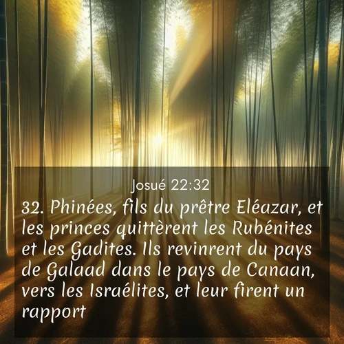 Segond21 Josué  ; image nature: image avec le verset biblique :Phinées, fils du prêtre Eléazar, et les princes quittèrent les Rubénites et les Gadites. Ils revinrent du pays de Galaad dans le pays de Canaan, vers les Israélites, et leur firent un rapport. ;  ; 22:32