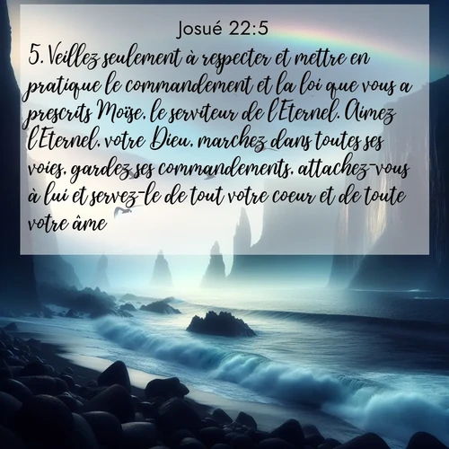 Segond21 Josué  ; image nature: image avec le verset biblique :Veillez seulement à respecter et mettre en pratique le commandement et la loi que vous a prescrits Moïse, le serviteur de l&#039;Eternel. Aimez l&#039;Eternel, votre Dieu, marchez dans toutes ses voies, gardez ses commandements, attachez-vous à lui et servez-le de tout votre coeur et de toute votre âme.» ;  ; 22:5