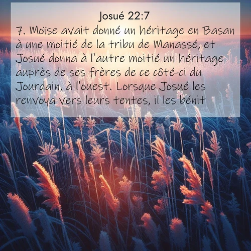 Segond21 Josué  ; image nature: image avec le verset biblique :Moïse avait donné un héritage en Basan à une moitié de la tribu de Manassé, et Josué donna à l&#039;autre moitié un héritage auprès de ses frères de ce côté-ci du Jourdain, à l&#039;ouest. Lorsque Josué les renvoya vers leurs tentes, il les bénit ;  ; 22:7