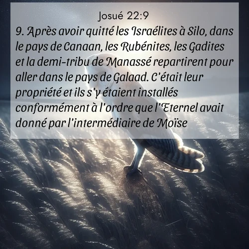 Segond21 Josué  ; image nature: image avec le verset biblique :Après avoir quitté les Israélites à Silo, dans le pays de Canaan, les Rubénites, les Gadites et la demi-tribu de Manassé repartirent pour aller dans le pays de Galaad. C&#039;était leur propriété et ils s&#039;y étaient installés conformément à l&#039;ordre que l&#039;Eternel avait donné par l&#039;intermédiaire de Moïse. ;  ; 22:9
