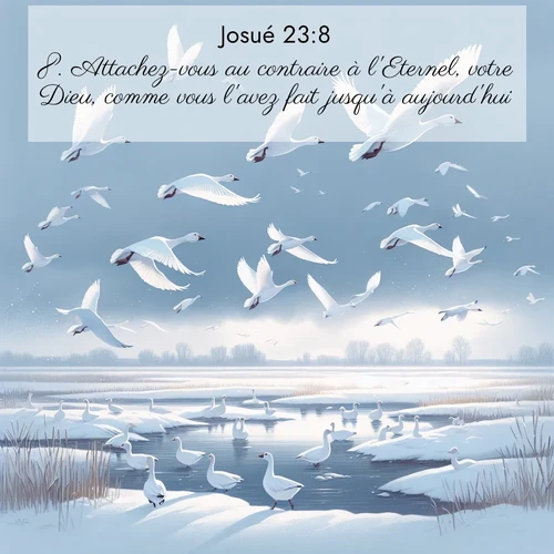 image nature avec verset biblique de la Bible