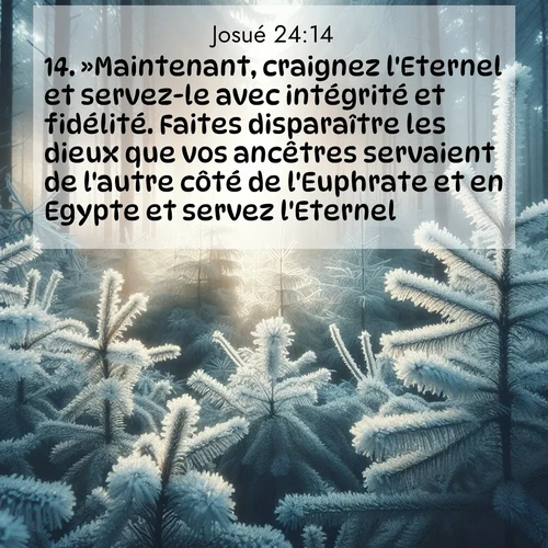 Segond21 Josué  ; image nature: image avec le verset biblique :»Maintenant, craignez l&#039;Eternel et servez-le avec intégrité et fidélité. Faites disparaître les dieux que vos ancêtres servaient de l&#039;autre côté de l&#039;Euphrate et en Egypte et servez l&#039;Eternel. ;  ; 24:14