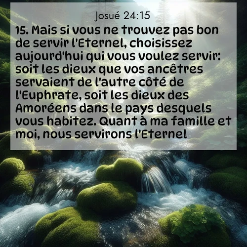Segond21 Josué  ; image nature: image avec le verset biblique :Mais si vous ne trouvez pas bon de servir l&#039;Eternel, choisissez aujourd&#039;hui qui vous voulez servir: soit les dieux que vos ancêtres servaient de l&#039;autre côté de l&#039;Euphrate, soit les dieux des Amoréens dans le pays desquels vous habitez. Quant à ma famille et moi, nous servirons l&#039;Eternel.» ;  ; 24:15