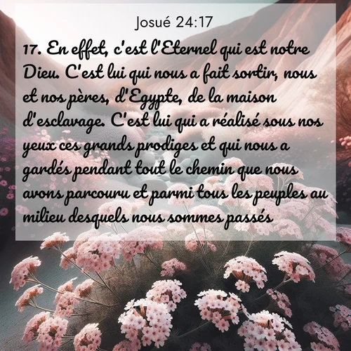 Segond21 Josué  ; image nature: image avec le verset biblique :En effet, c&#039;est l&#039;Eternel qui est notre Dieu. C&#039;est lui qui nous a fait sortir, nous et nos pères, d&#039;Egypte, de la maison d&#039;esclavage. C&#039;est lui qui a réalisé sous nos yeux ces grands prodiges et qui nous a gardés pendant tout le chemin que nous avons parcouru et parmi tous les peuples au milieu desquels nous sommes passés. ;  ; 24:17