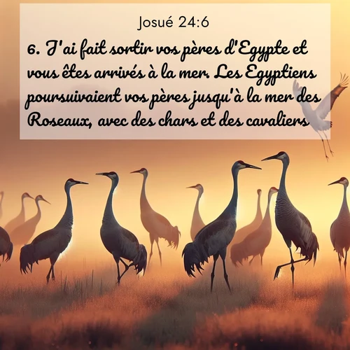 Segond21 Josué  ; image nature: image avec le verset biblique :J&#039;ai fait sortir vos pères d&#039;Egypte et vous êtes arrivés à la mer. Les Egyptiens poursuivaient vos pères jusqu&#039;à la mer des Roseaux, avec des chars et des cavaliers. ;  ; 24:6