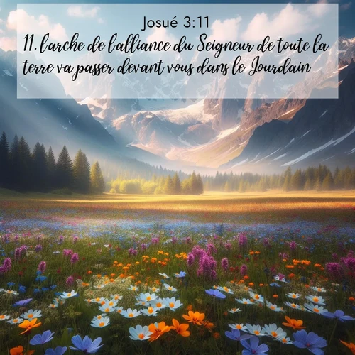 Segond21 Josué  ; image nature: image avec le verset biblique :l&#039;arche de l&#039;alliance du Seigneur de toute la terre va passer devant vous dans le Jourdain. ;  ; 3:11