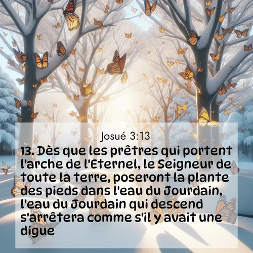 Segond21 Josué  ; image nature: image avec le verset biblique :Dès que les prêtres qui portent l&#039;arche de l&#039;Eternel, le Seigneur de toute la terre, poseront la plante des pieds dans l&#039;eau du Jourdain, l&#039;eau du Jourdain qui descend s&#039;arrêtera comme s&#039;il y avait une digue.» ;  ; 3:13