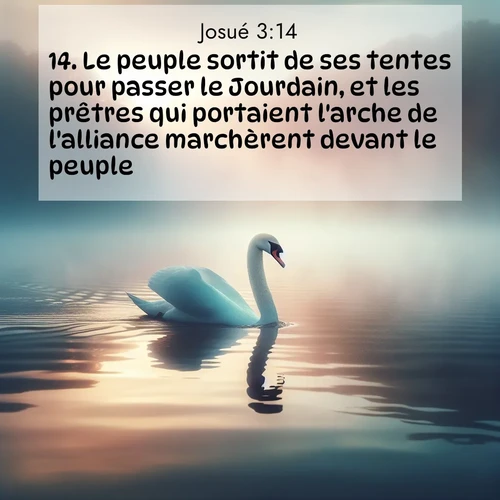 Segond21 Josué  ; image nature: image avec le verset biblique :Le peuple sortit de ses tentes pour passer le Jourdain, et les prêtres qui portaient l&#039;arche de l&#039;alliance marchèrent devant le peuple. ;  ; 3:14